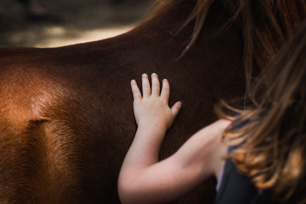 Childs Hand on a Horse